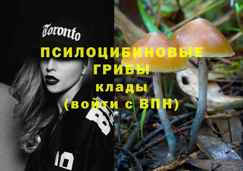 Псилоцибиновые грибы Psilocybine cubensis  где продают наркотики  Мурино 