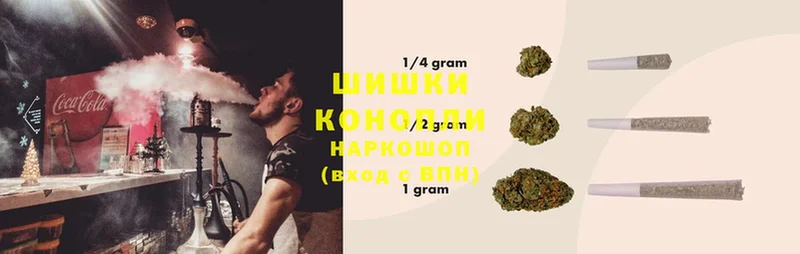 купить наркотик  Мурино  Шишки марихуана SATIVA & INDICA 